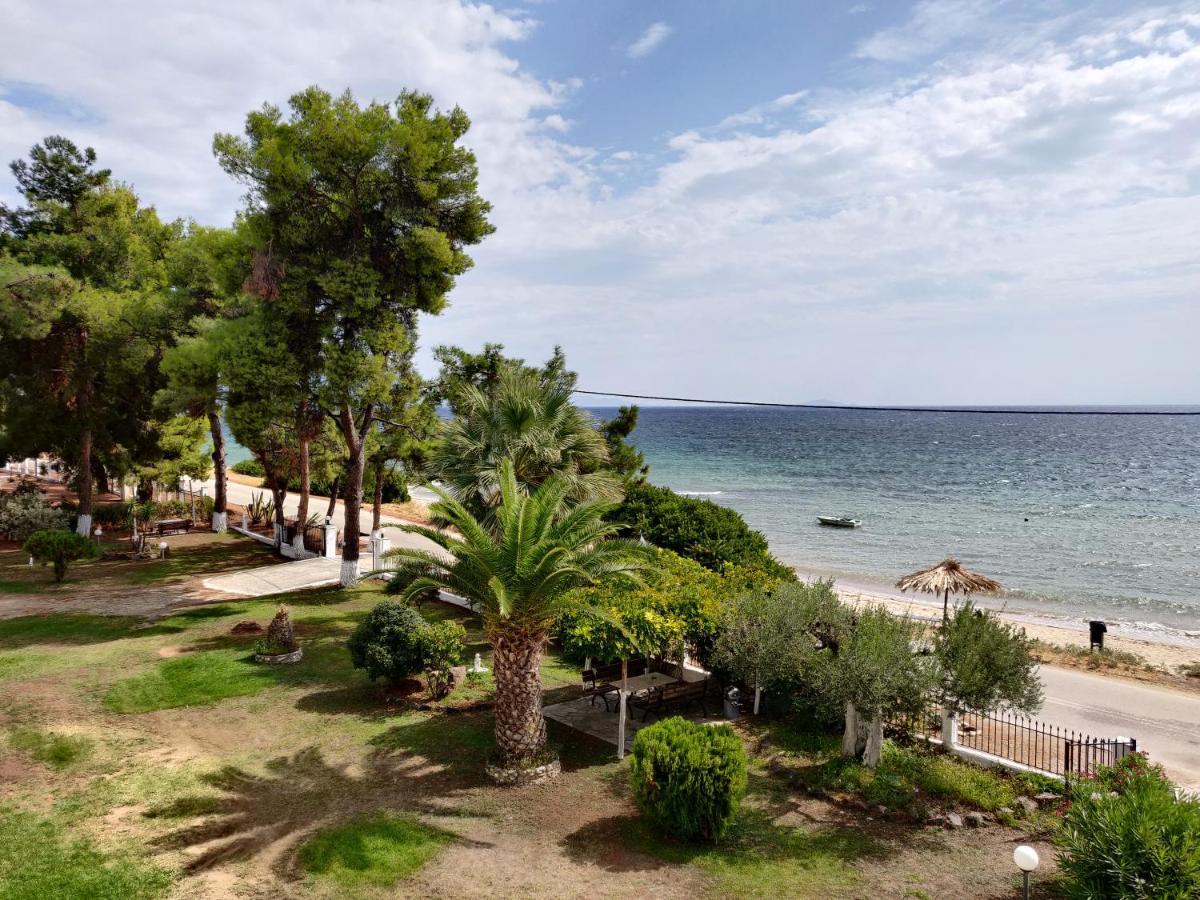 Entire 50m From Sea - Spiros Διαμέρισμα